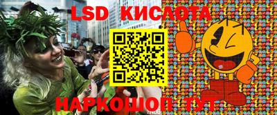 ECSTASY Камышлов