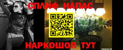 ECSTASY Камышлов