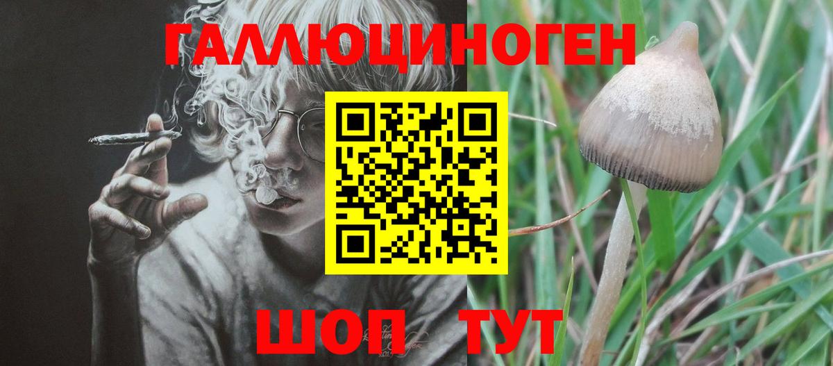 Кемерово  Псилоцибиновые грибы прущие грибы  Вход с VPN  закладки  Псилоцибиновые грибы мицелий 